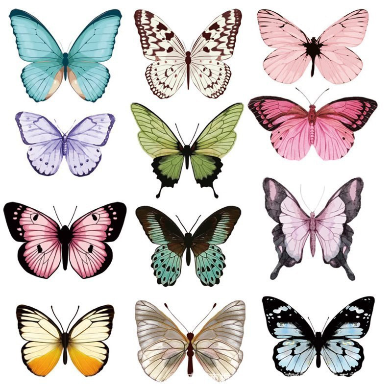 12 Uds. Pegatinas de pared de  - Art Craft Earth Day reseña y precio